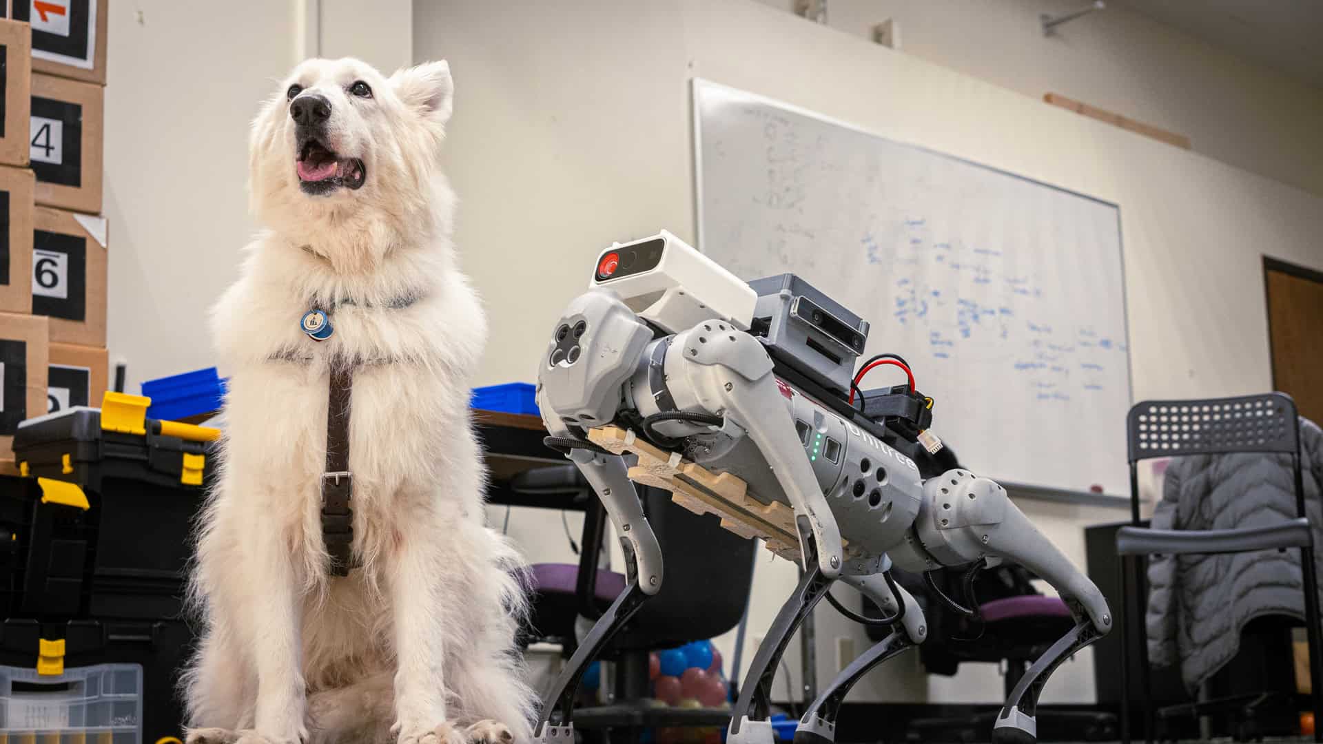 REG – A Robotic Guide Dog